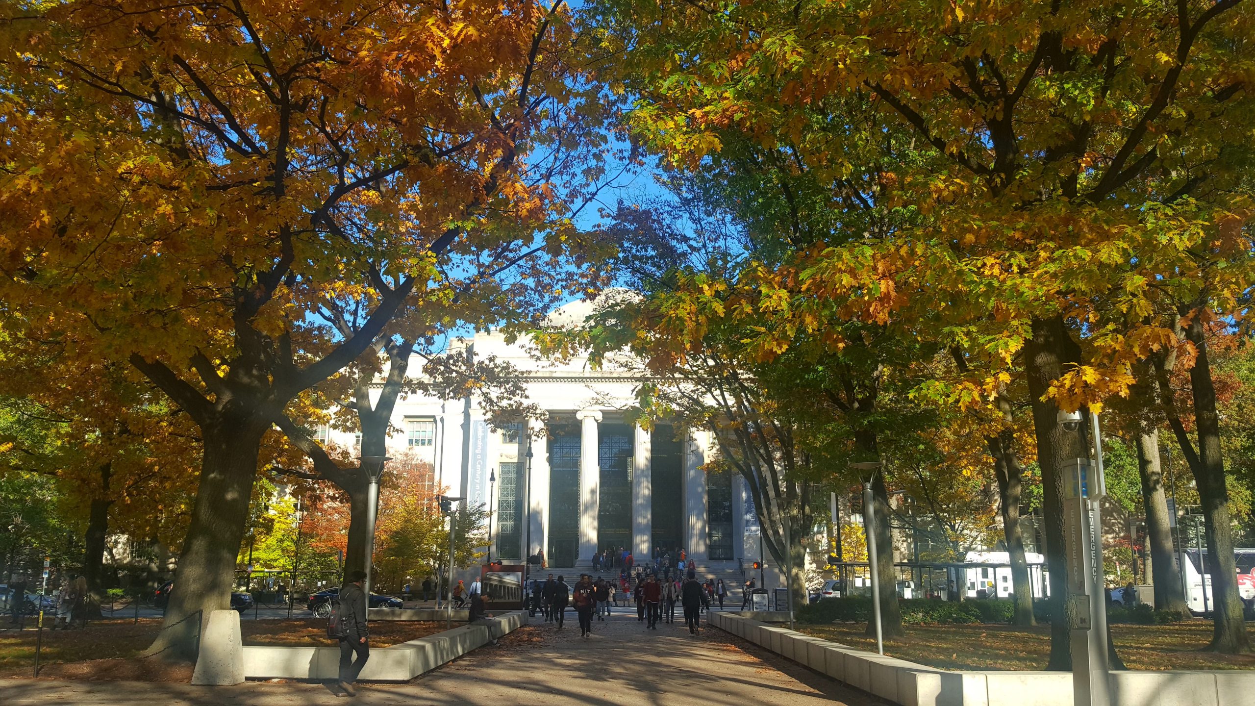 MIT campus, students and trees